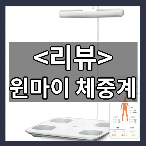 윈마이 체중계 리뷰 - 제품, 상품
