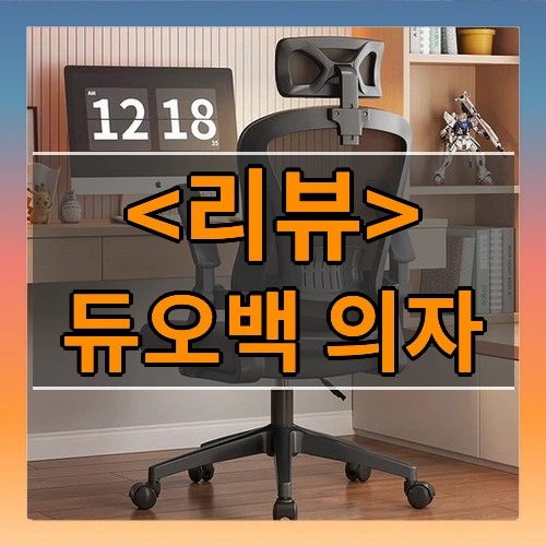 듀오백 의자 리뷰 - 제품, 상품