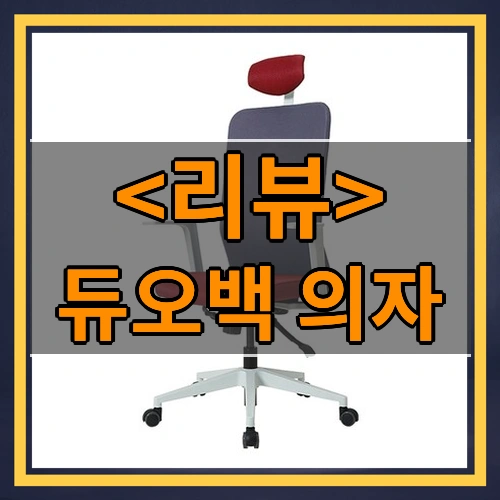 듀오백 의자 리뷰 - 제품, 상품