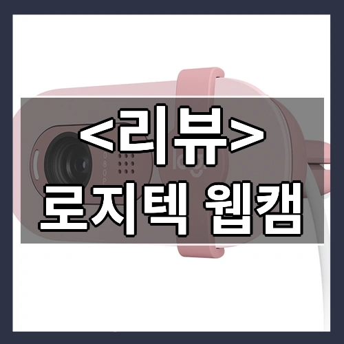 로지텍 웹캠 추천
