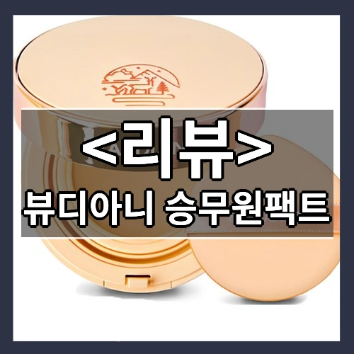 뷰디아니 승무원팩트 리뷰 - 제품, 상품