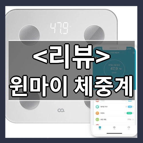 윈마이 체중계 리뷰 - 제품, 상품