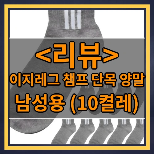 이지레그 챔프 단목 양말 리뷰 - 남성용 (10켤레)